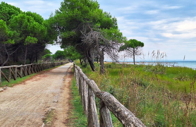 Adorable Flat With Terrace in Bibione - Beahost - Foto 5