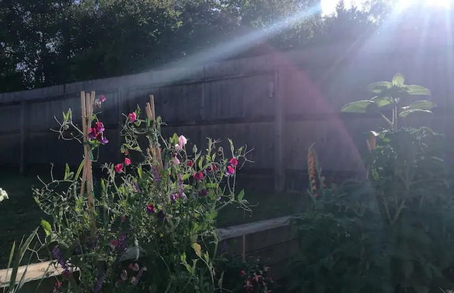 Lovely, Spacious 1-bed Apartment in Poole - Foto 13