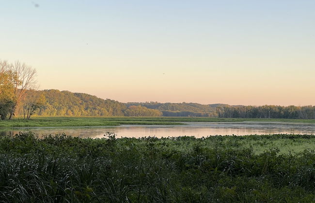 Somerset - Estate - Foto 51