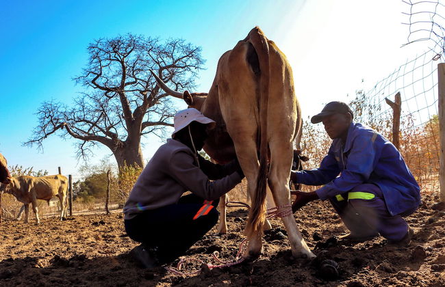 Destiny Blo Inn - Foto 14