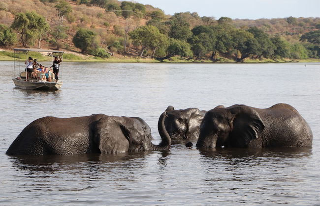 Destiny Blo Inn - Foto 13