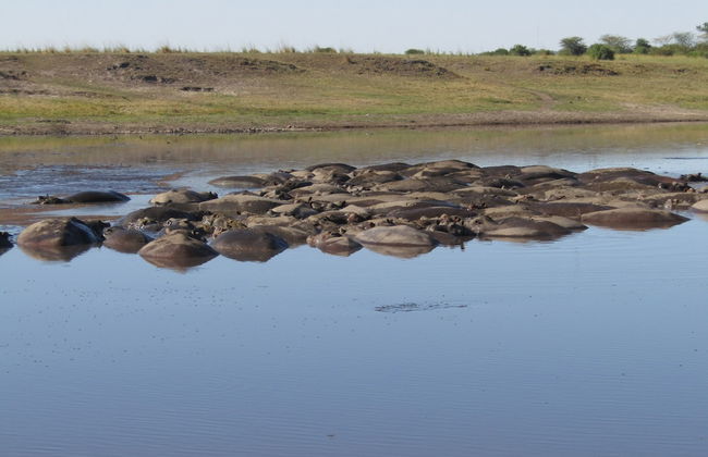 Destiny Blo Inn - Foto 9