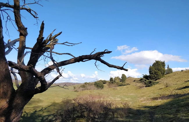 6 Person Holiday Home in Bastad-by Traum - Foto 14