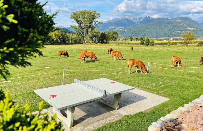 Residence Garni Untermoahof - Photo 22