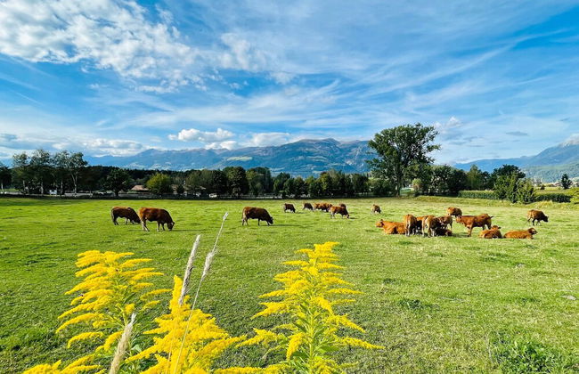 Residence Garni Untermoahof - Photo 23