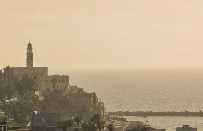 Rouge Eilat in Tel Aviv-yafo - Photo 34