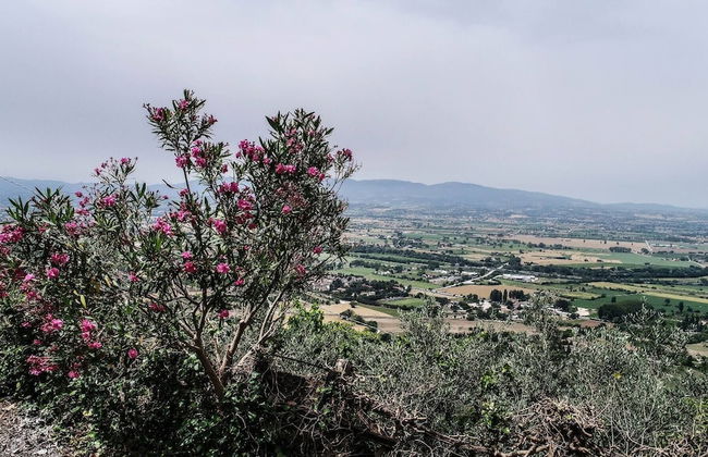 Italian Charming Mansion in the County Side Enjoy Umbria - Foto 25