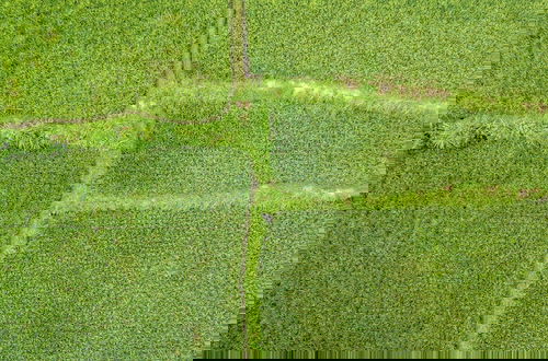 Photo 60 - Vista Villa by DH
