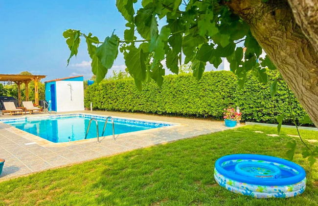 Villa Rotiana in Poli Crysochous - Photo 4