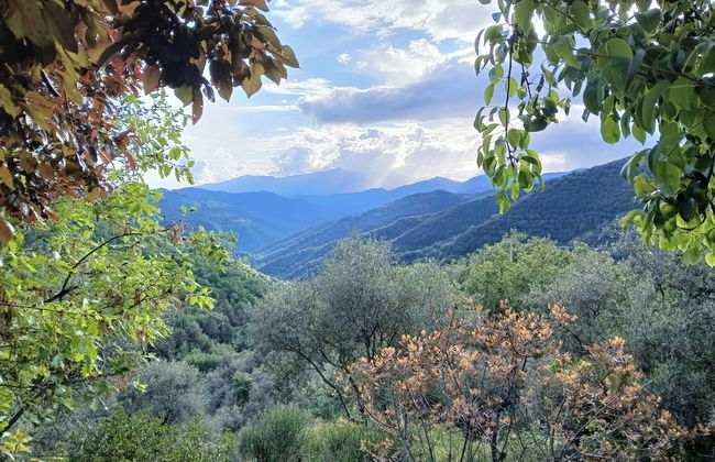 Nature's Rustico - Quiet Location - Picturesque - Foto 17