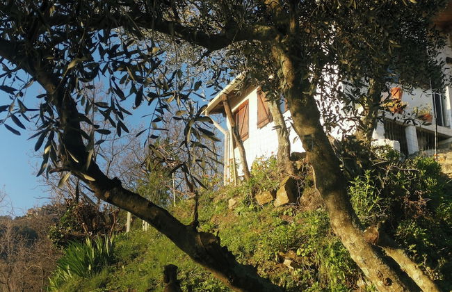 Nature's Rustico - Quiet Location - Picturesque - Foto 31