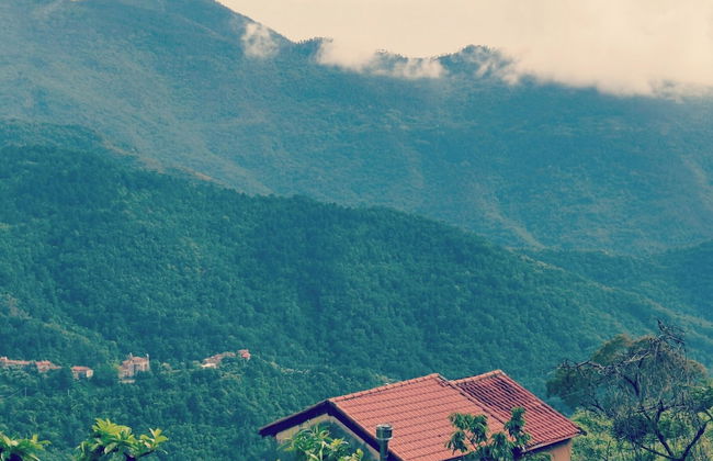 Nature's Rustico - Quiet Location - Picturesque - Foto 15