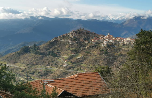 Nature's Rustico - Quiet Location - Picturesque - Foto 8