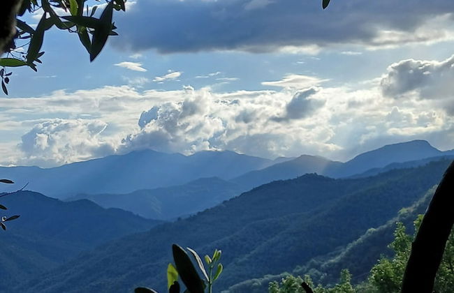 Nature's Rustico - Quiet Location - Picturesque - Foto 16