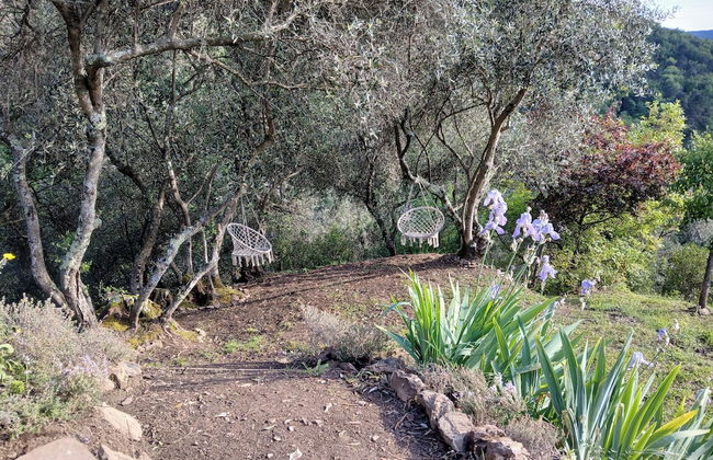 Nature's Rustico - Quiet Location - Picturesque - Foto 26