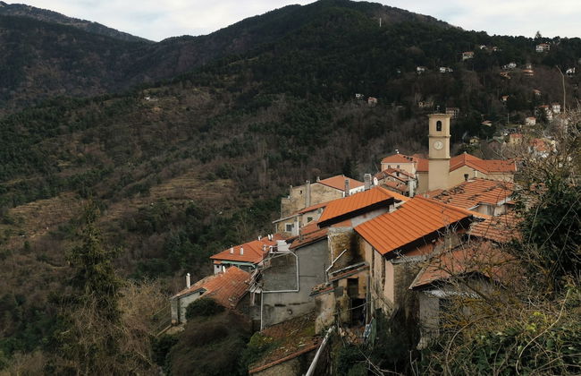 Nature's Rustico - Quiet Location - Picturesque - Foto 9