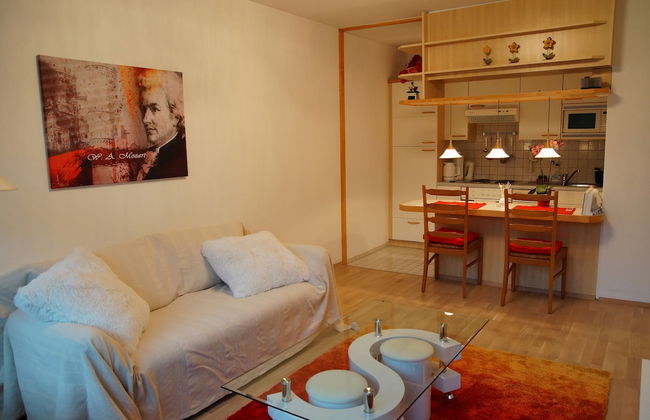 W & S Executive Apartments - Obertraun - Foto 32