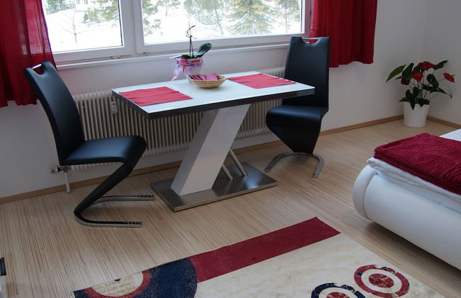 W & S Executive Apartments - Obertraun - Foto 20