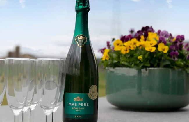 Family House With a Beautiful View in Damme - Foto 48