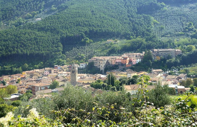 Estate in Monte Serra With Pool & Olive Trees - Foto 25
