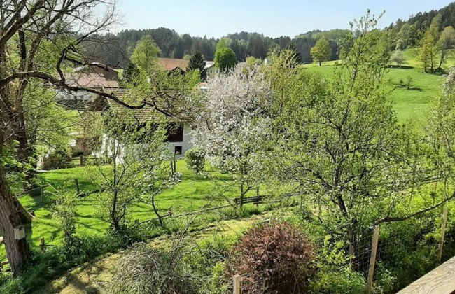 Ferienwohnung in Viechtach - Foto 26
