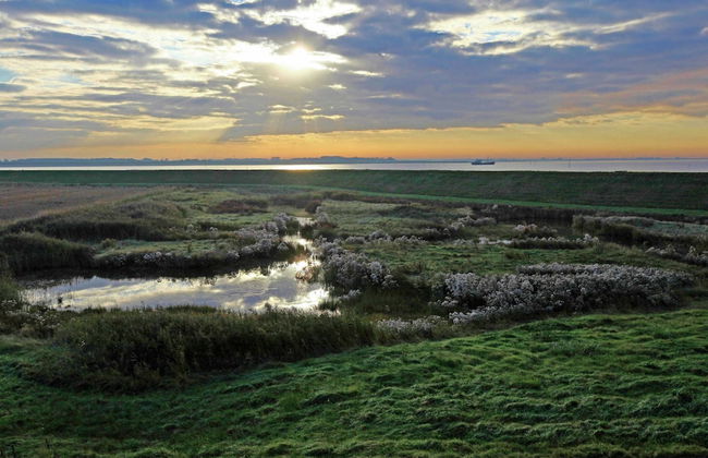 Modern, High-quality Chalet With Wifi Near the Oosterschelde - Foto 29