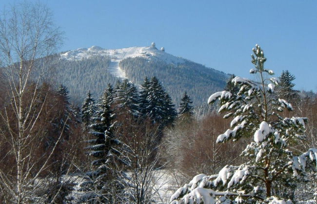 Cottage in Rinchnach Bavaria Near the Forest - Foto 35