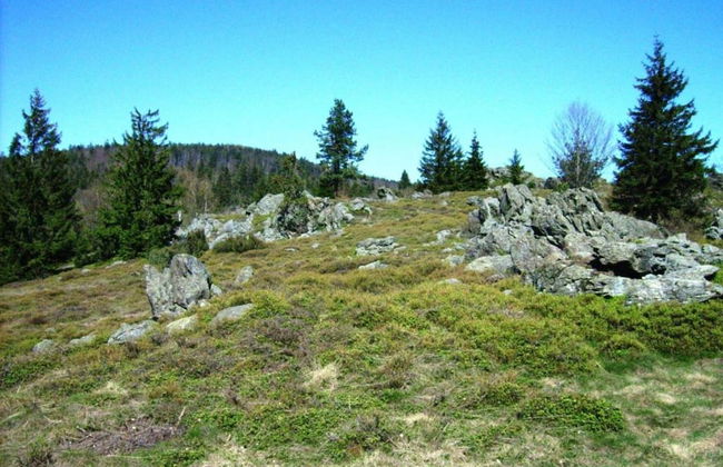 Apartment in Tannesberg Near Goldsteig Trail - Foto 38