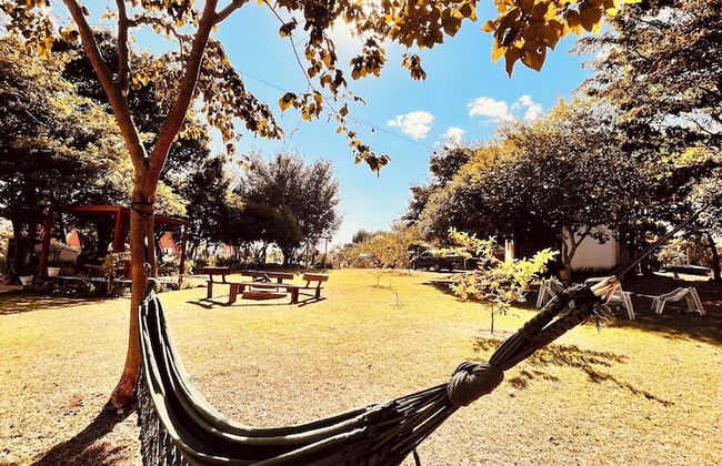 Nativos de Minas - Foto 42