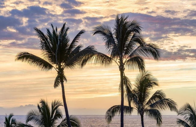 Big Island Aloha Pearl House 4 Bedroom Home - Foto 67
