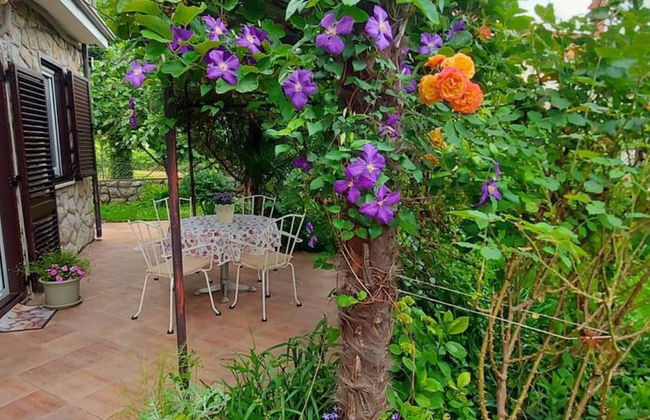 Green Garden Oasis - Foto 34