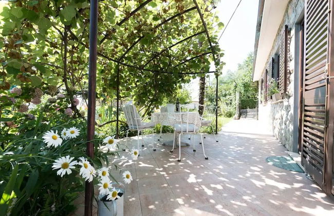 Green Garden Oasis - Foto 23