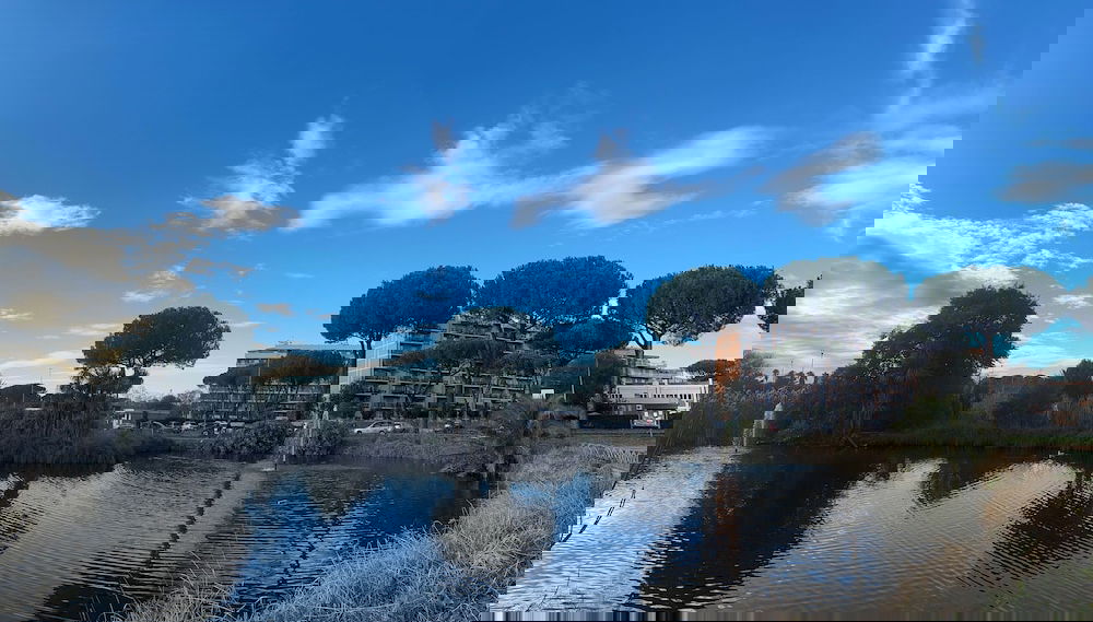 Imagem principal
