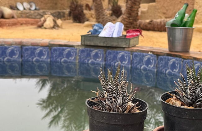 TATRABENT - Eco Friendly retreat in Siwa - Photo 66