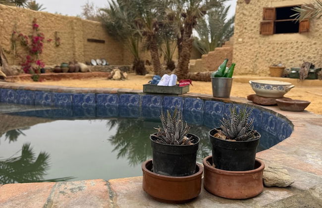 TATRABENT - Eco Friendly retreat in Siwa - Photo 50