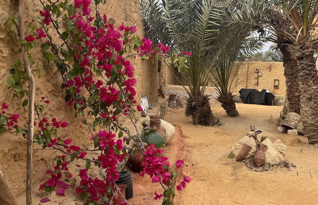 TATRABENT - Eco Friendly retreat in Siwa - Photo 64