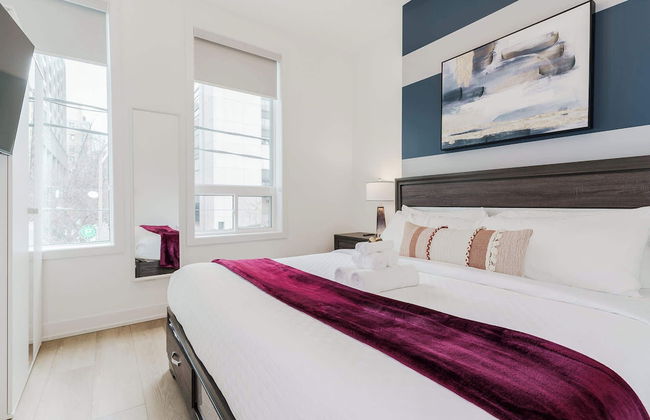 Elegant Suite—Near Kensington Market, Sleeps 8 - Photo 11