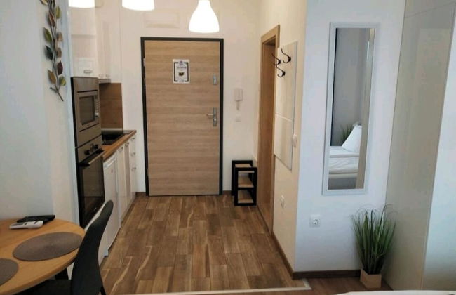 One room apartment - Foto 29