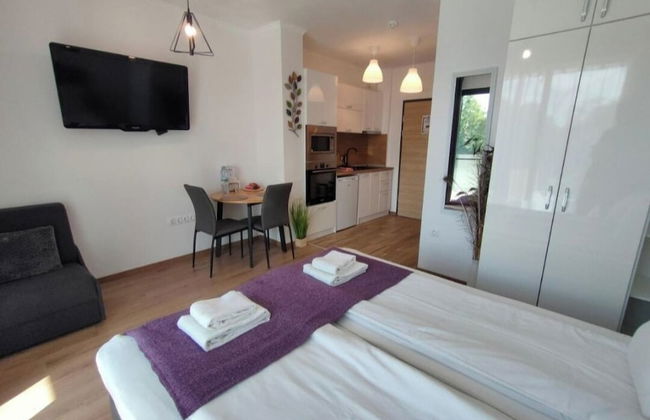One room apartment - Foto 23