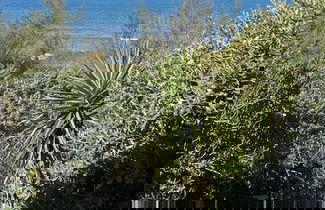Photo 1 - Villa Papini Seafront With 3 Apartments and Garden-rif Papi