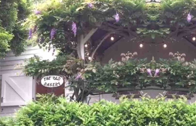 The Old Bakery in Historic Kangaroo Valley Village - Photo 44