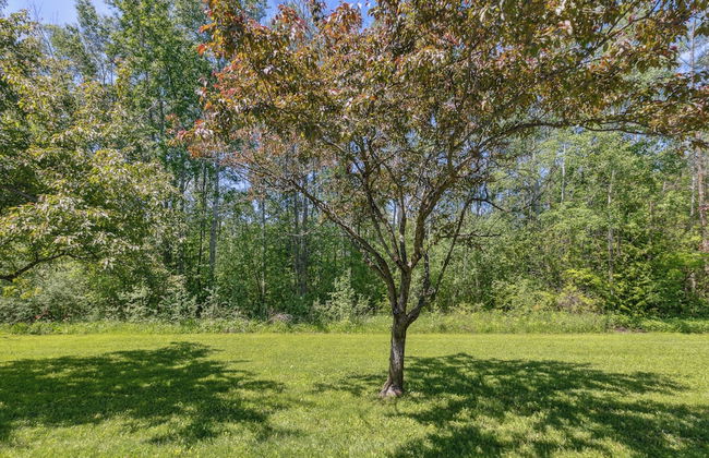 Vacation Inn Townhomes - Photo 45