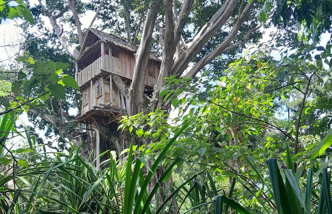 Glowing view tree house and Bangalow - Photo 39