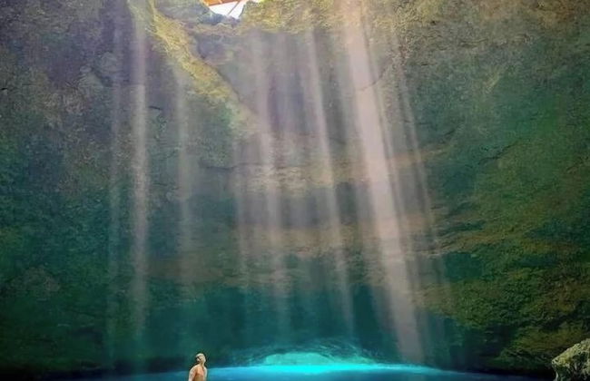 Glowing view tree house and Bangalow - Photo 19