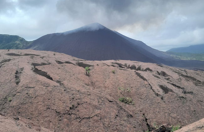 Glowing view tree house and Bangalow - Photo 40