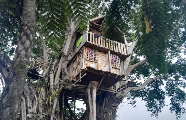 Glowing view tree house and Bangalow - Photo 12