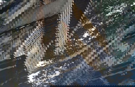 Glowing view tree house and Bangalow - Photo 28