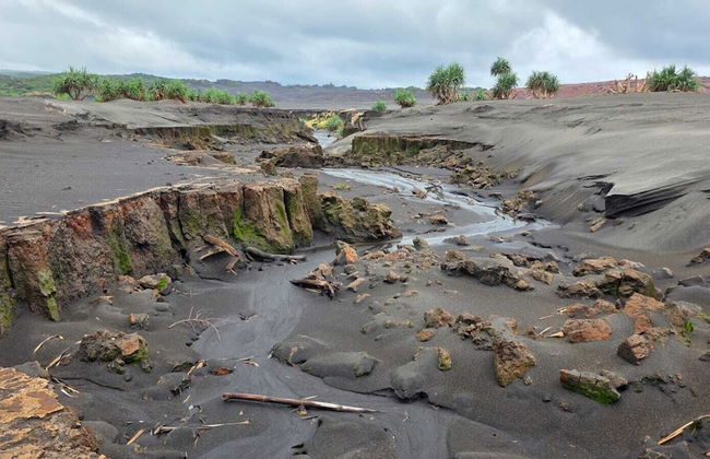Glowing view tree house and Bangalow - Photo 8