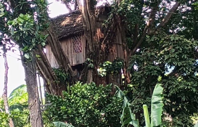Glowing view tree house and Bangalow - Photo 13