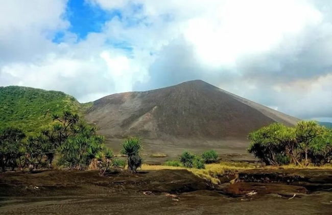 Glowing view tree house and Bangalow - Photo 41